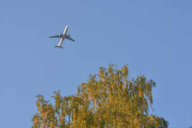 Similar image 21454741