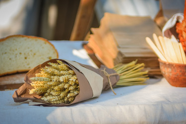 Similar image 21454745