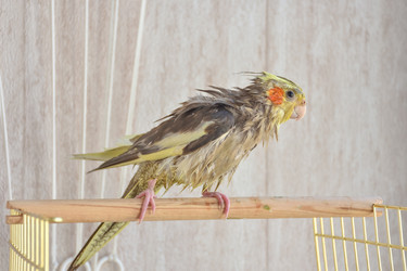 Similar image 21454746