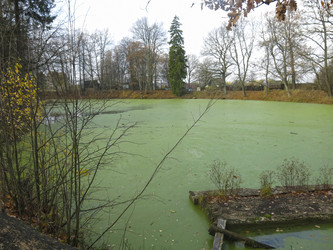 Similar image 21447319