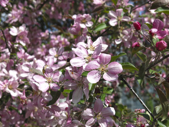 Similar image 21447321