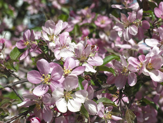 Similar image 21447322