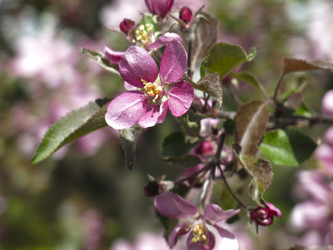 Similar image 21447323