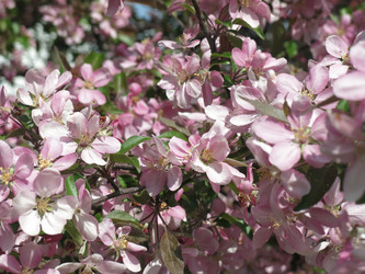 Similar image 21447324