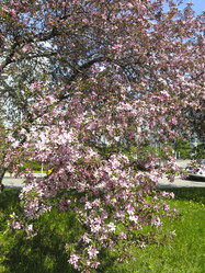 Similar image 21447325