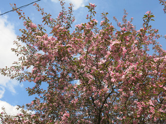 Similar image 21447327