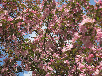 Similar image 21447328