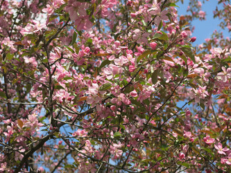 Similar image 21447329