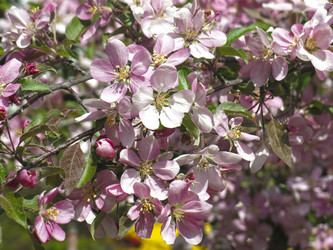 Similar image 21447330