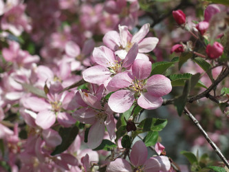 Similar image 21447331