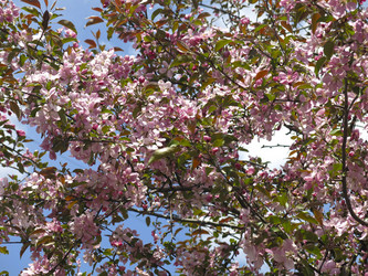 Similar image 21447332