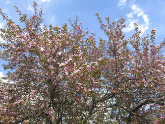 Similar image 21447333