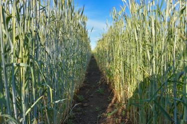 Similar image 21454757