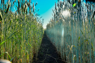 Similar image 21454758