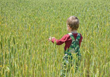 Similar image 21454761