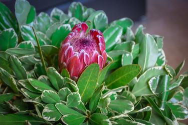 Similar image 21454772