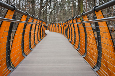 Similar image 21454779