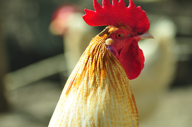 Similar image 21446868