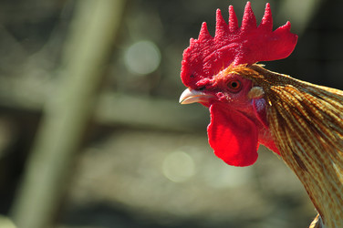 Similar image 21446869