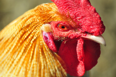 Similar image 21446890