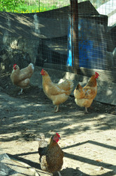 Similar image 21446893