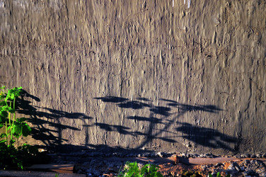 Similar image 21446894