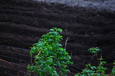 Similar image 21446897