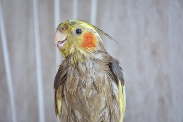 Similar image 21456775