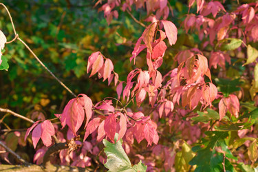 Similar image 21456777