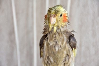 Similar image 21456778