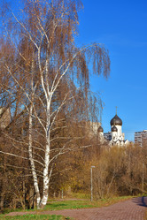 Similar image 21456926