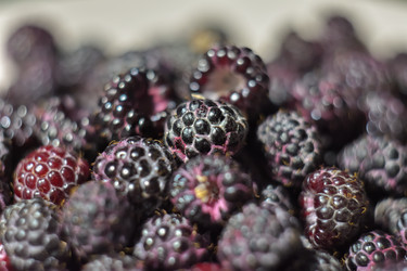 Similar image 21456936