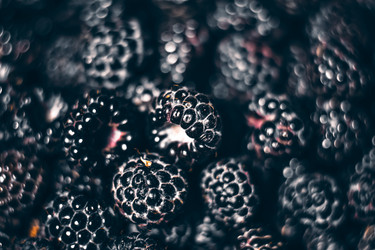 Similar image 21456945