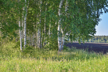 Similar image 21456954