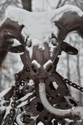 Similar image 21469646