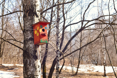 Similar image 21456959