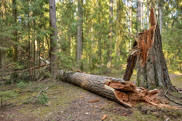 Similar image 21456960