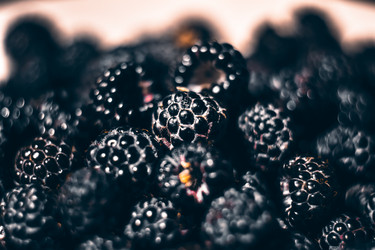 Similar image 21456962