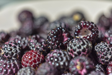 Similar image 21454525