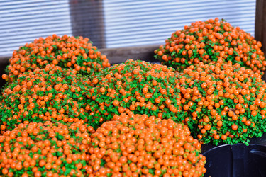 Similar image 21454526