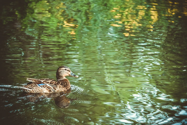 Similar image 21454803