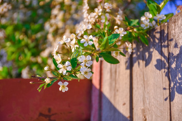 Similar image 21454817