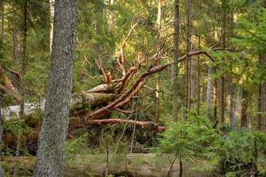 Similar image 21454818