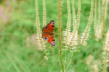 Similar image 21454832