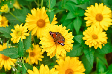 Similar image 21454833