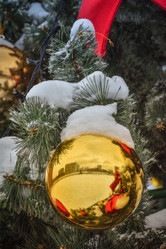 Similar image 21454835