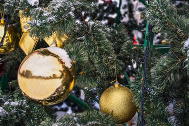 Similar image 21454839