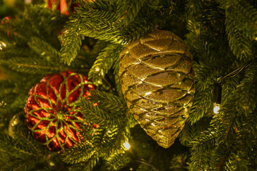 Similar image 21454842