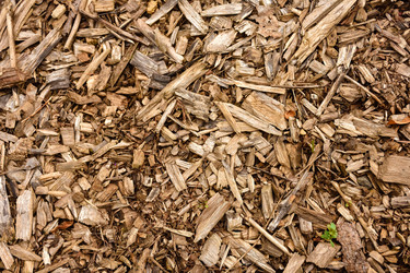 Similar image 21454846