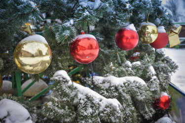 Similar image 21454850